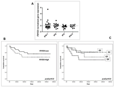 biomedres-openaccess-journal-bjstr