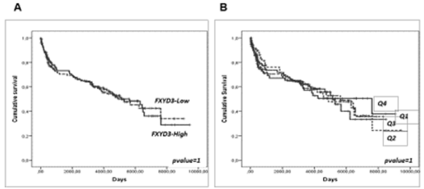 biomedres-openaccess-journal-bjstr