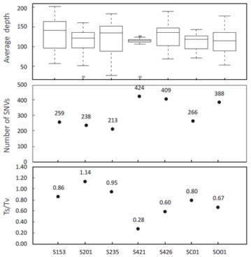 biomedres-openaccess-journal-bjstr