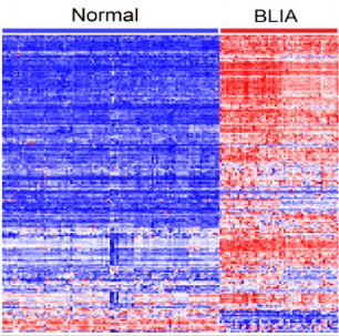 biomedres-openaccess-journal-bjstr
