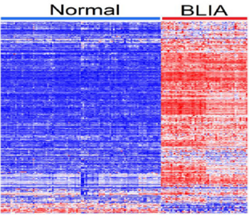 biomedres-openaccess-journal-bjstr