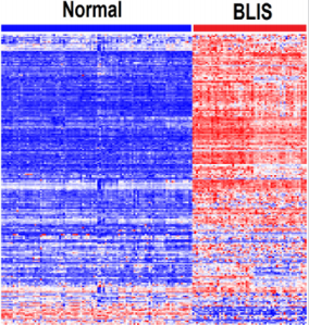 biomedres-openaccess-journal-bjstr