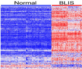 biomedres-openaccess-journal-bjstr