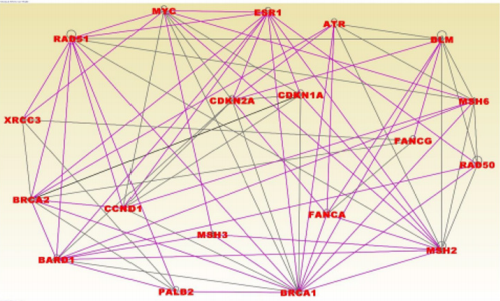 biomedres-openaccess-journal-bjstr