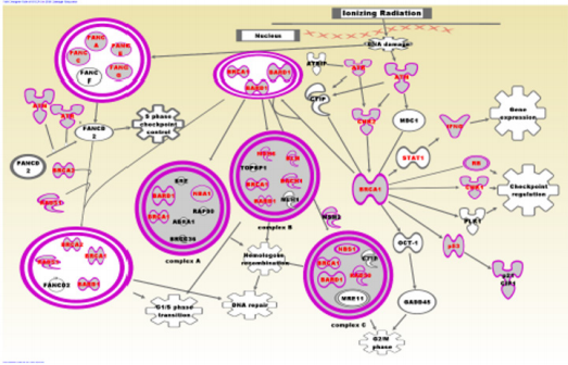 biomedres-openaccess-journal-bjstr