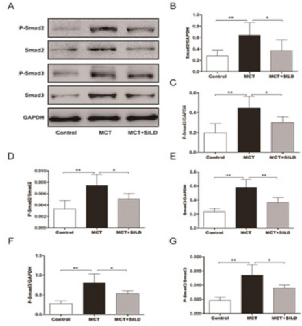 biomedres-openaccess-journal-bjstr