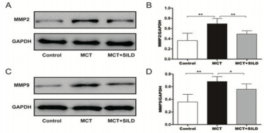 biomedres-openaccess-journal-bjstr