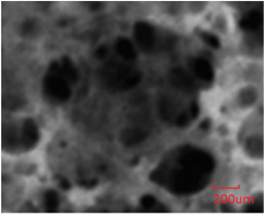 biomedres-openaccess-journal-bjstr