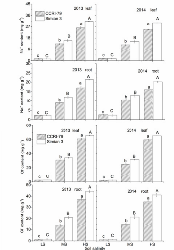biomedres-openaccess-journal-bjstr