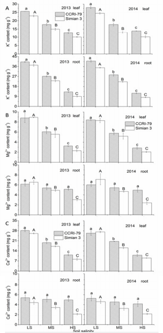 biomedres-openaccess-journal-bjstr