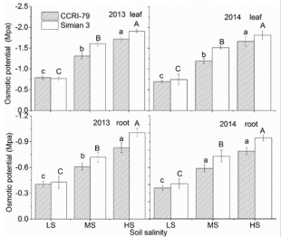 biomedres-openaccess-journal-bjstr
