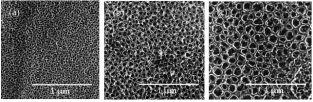 biomedres-openaccess-journal-bjstr