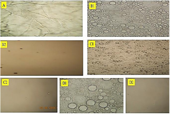 Click here to view Large Figure 1 biomedres-openaccess-journal-bjstr