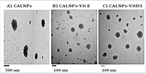 Click here to view Large Figure 2 biomedres-openaccess-journal-bjstr