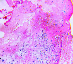 biomedres-openaccess-journal-bjstr