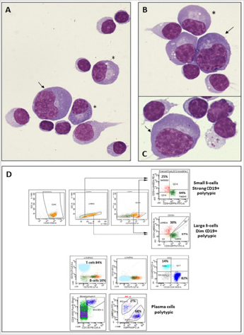 biomedres-openaccess-journal-bjstr