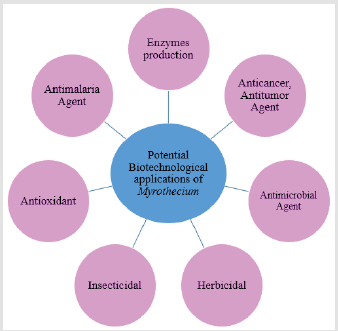 biomedres-openaccess-journal-bjstr