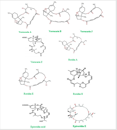 biomedres-openaccess-journal-bjstr