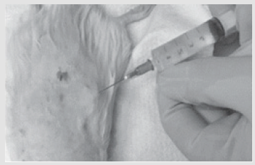 biomedres-openaccess-journal-bjstr