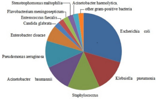 biomedres-openaccess-journal-bjstr