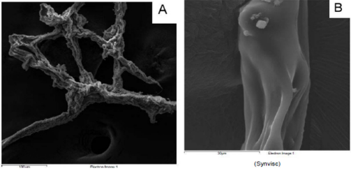 biomedres-openaccess-journal-bjstr