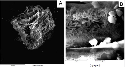 biomedres-openaccess-journal-bjstr