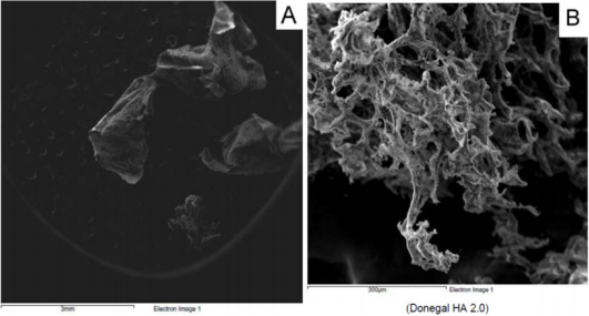 biomedres-openaccess-journal-bjstr