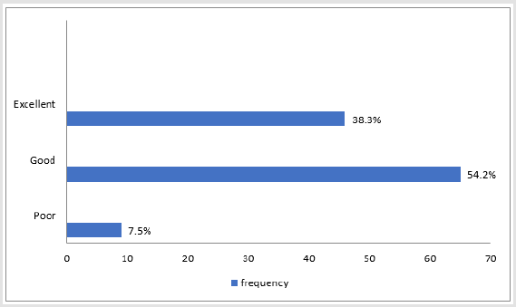 biomedres-openaccess-journal-bjstr