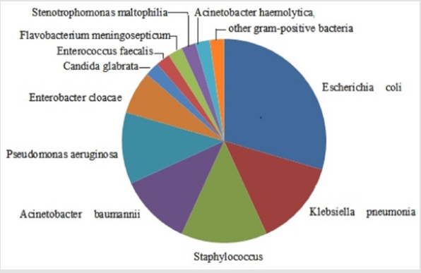 biomedres-openaccess-journal-bjstr