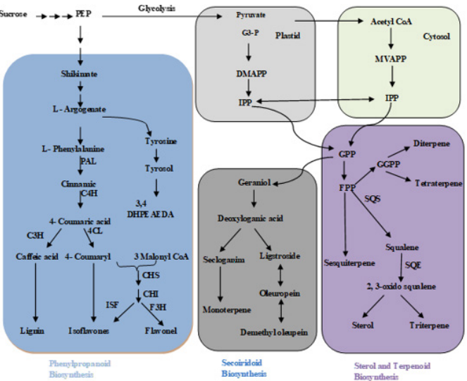 biomedres-openaccess-journal-bjstr