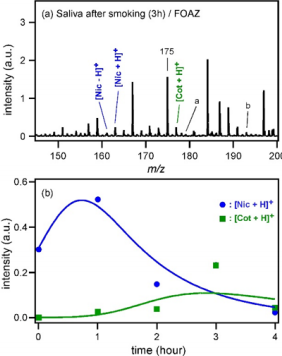 biomedres-openaccess-journal-bjstr
