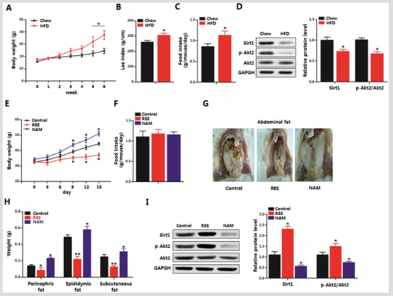 biomedres-openaccess-journal-bjstr