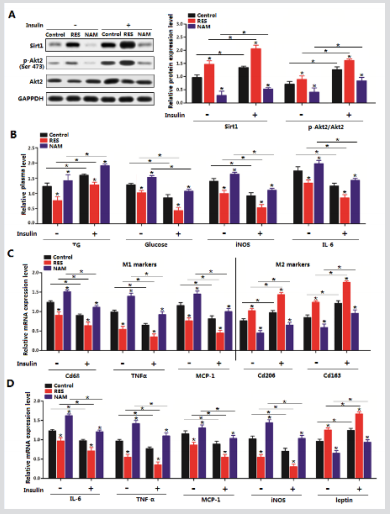 biomedres-openaccess-journal-bjstr