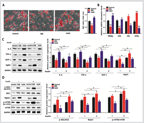 biomedres-openaccess-journal-bjstr