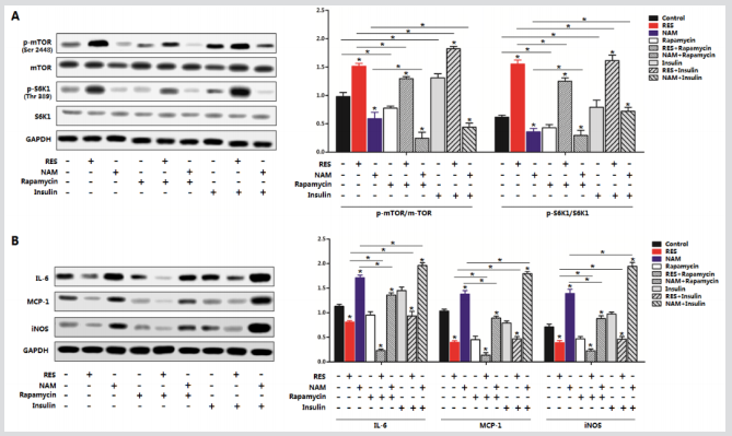 biomedres-openaccess-journal-bjstr