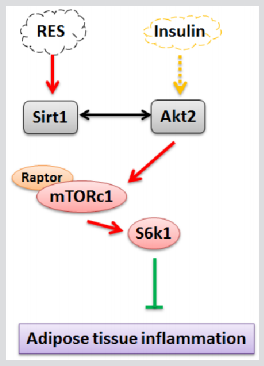 biomedres-openaccess-journal-bjstr