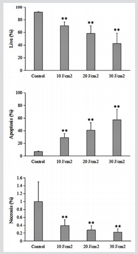 biomedres-openaccess-journal-bjstr
