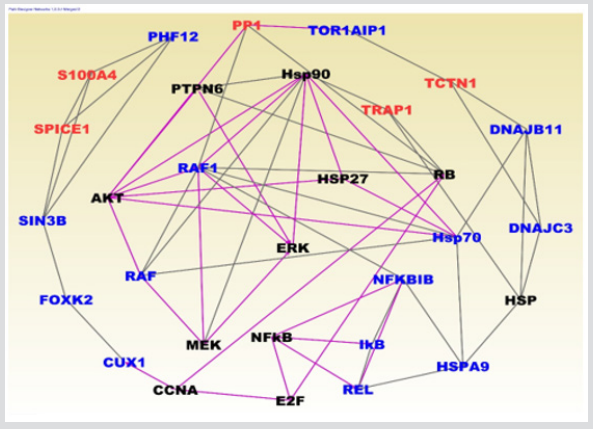 biomedres-openaccess-journal-bjstr
