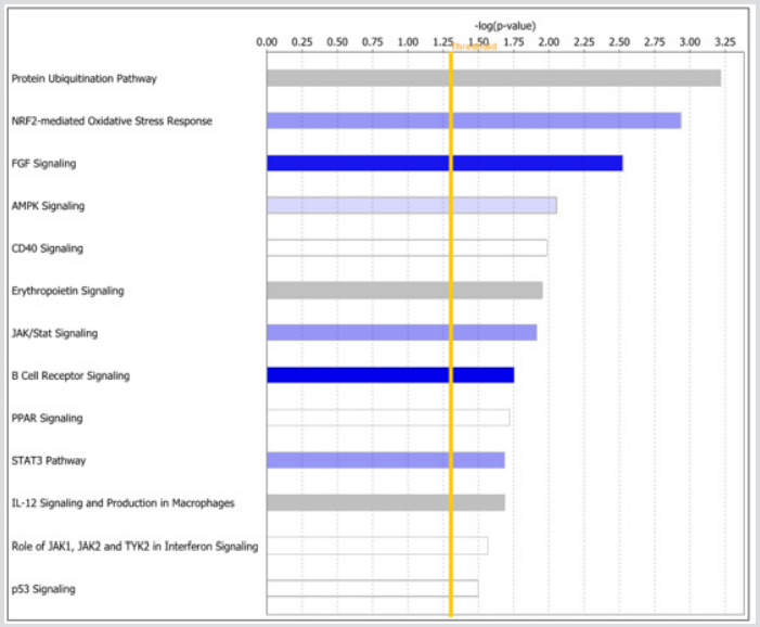 biomedres-openaccess-journal-bjstr