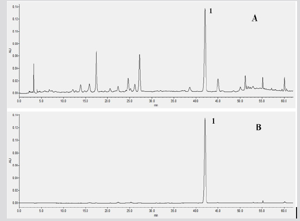 biomedres-openaccess-journal-bjstr