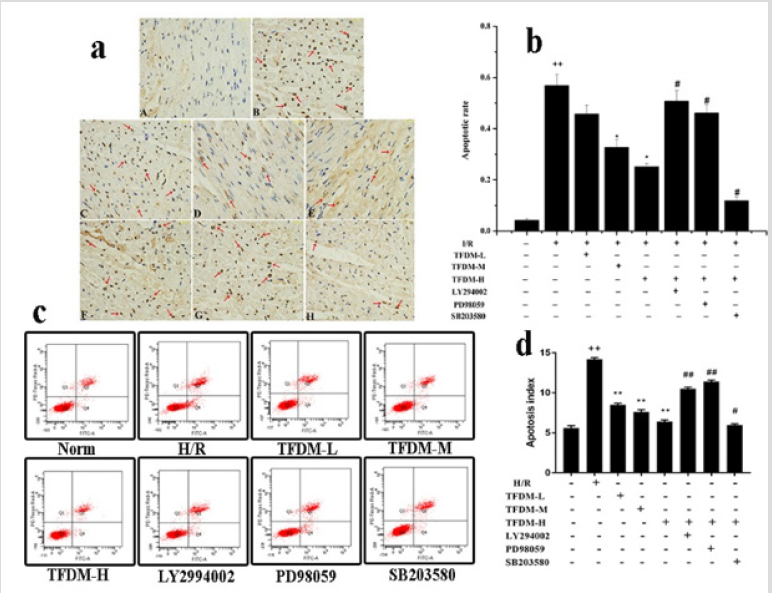 biomedres-openaccess-journal-bjstr