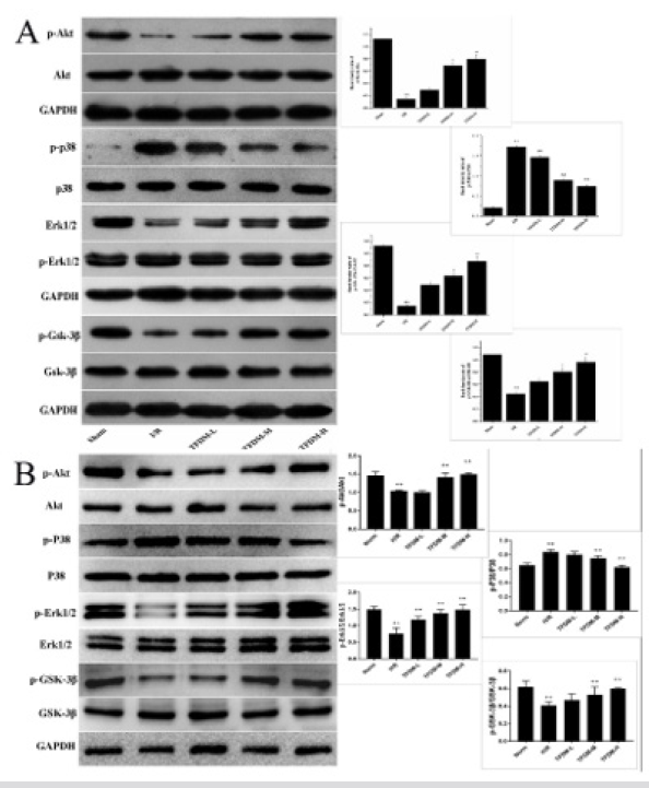 biomedres-openaccess-journal-bjstr