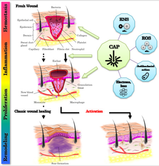 biomedres-openaccess-journal-bjstr