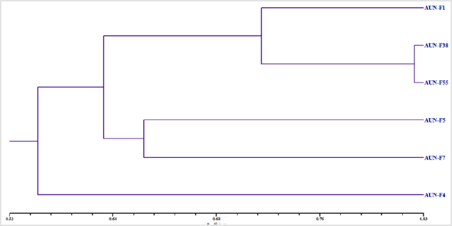 biomedres-openaccess-journal-bjstr
