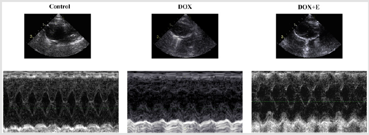 biomedres-openaccess-journal-bjstr