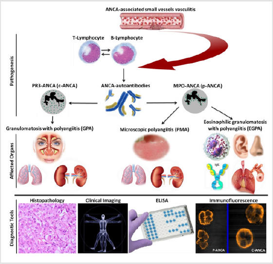 biomedres-openaccess-journal-bjstr