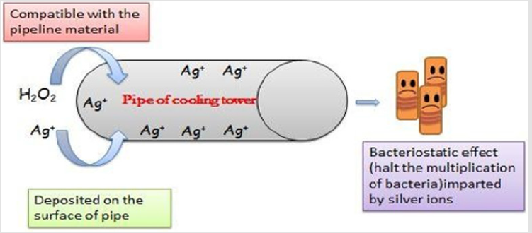 biomedres-openaccess-journal-bjstr