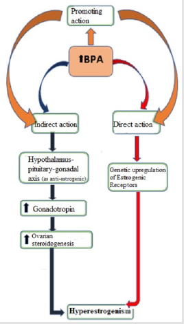 biomedres-openaccess-journal-bjstr