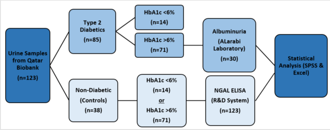 biomedres-openaccess-journal-bjstr