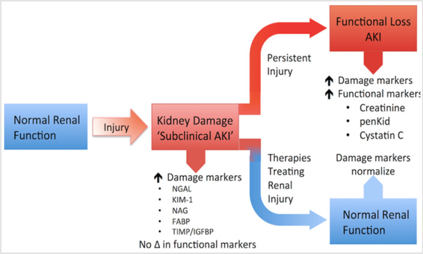biomedres-openaccess-journal-bjstr